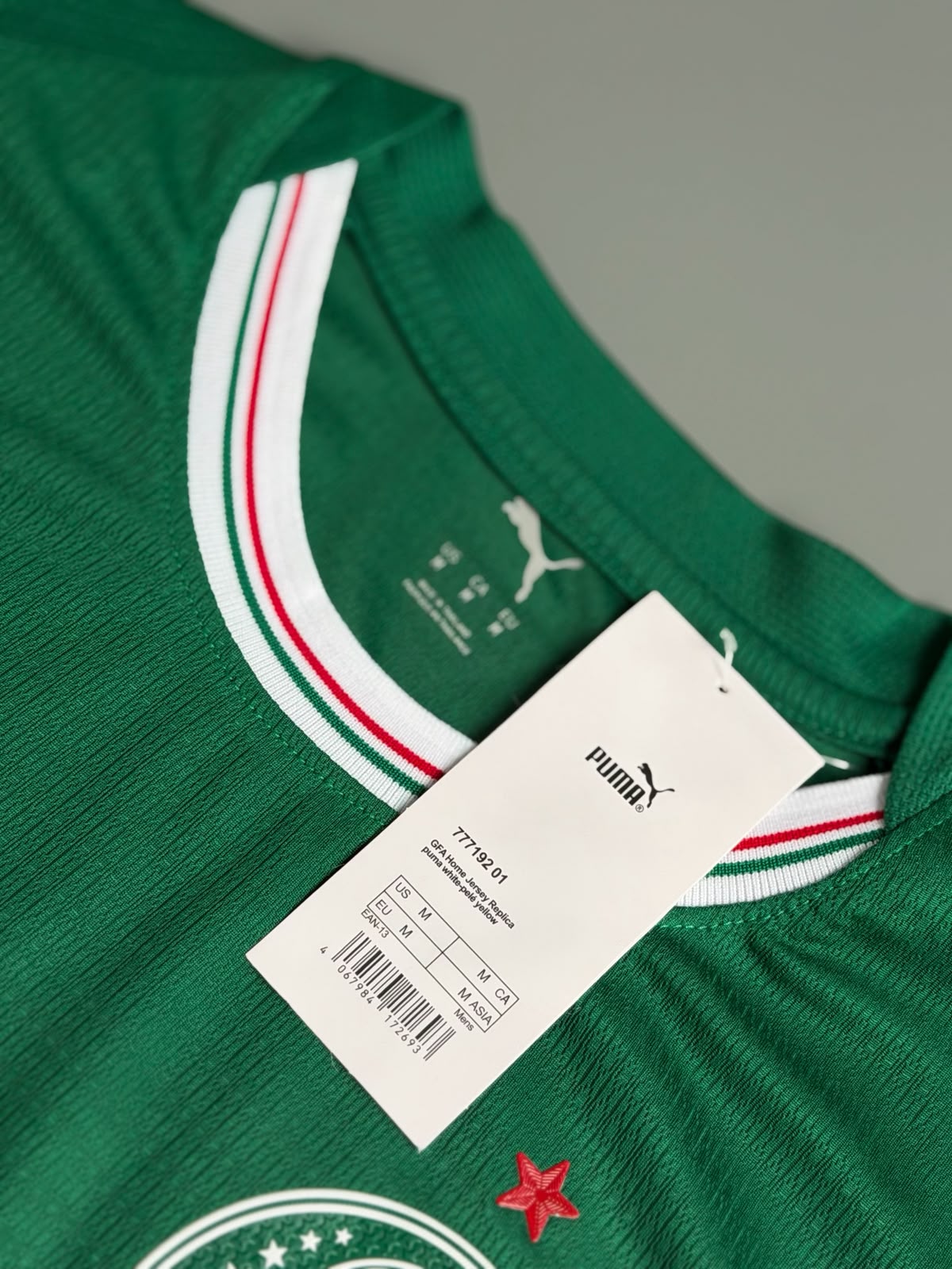 Camisa Palmeiras I 2026/27 Jogador