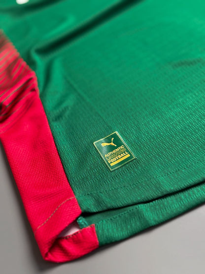 Camisa Palmeiras I 2026/27 Jogador