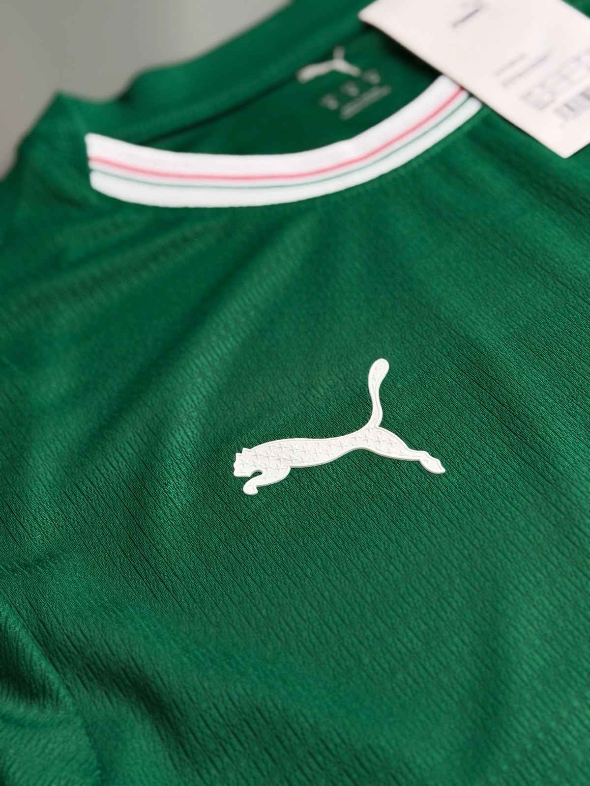 Camisa Palmeiras I 2026/27 Jogador