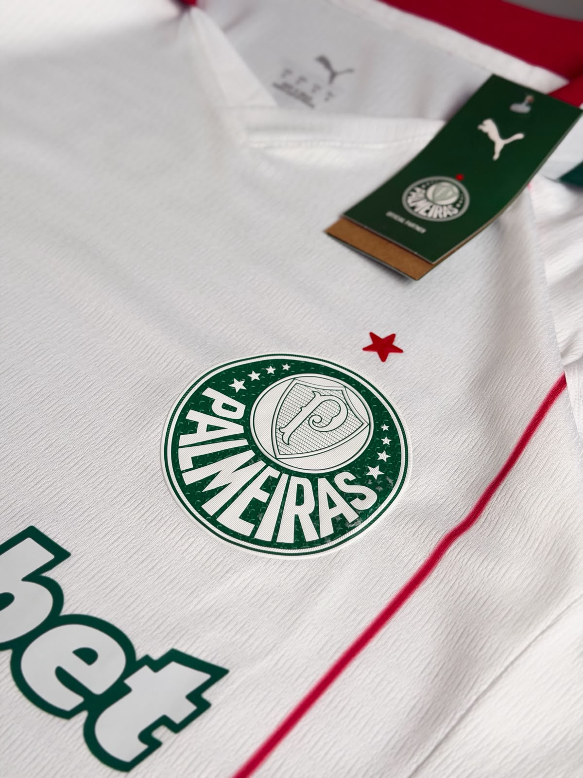 Palmeiras Visitante 26-27 – Jogador